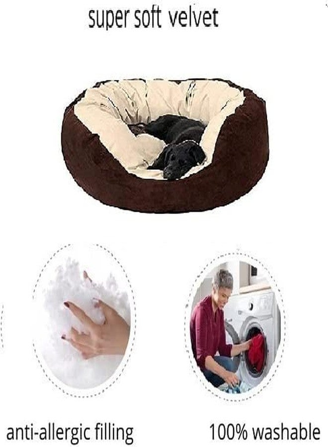 gorgeous Super Soft Reversable Dual (Dog and Cat Bed)-Small (Cream,Brown, XL) - Image 3